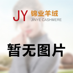 羊絨大衣